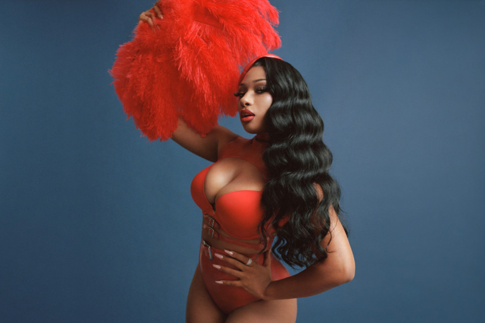 Unknown facts about amazing Megan Thee Stallion Business Management Books
